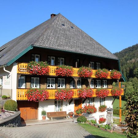 Ferienwohnung Talblick Todtmoos Bagian luar foto