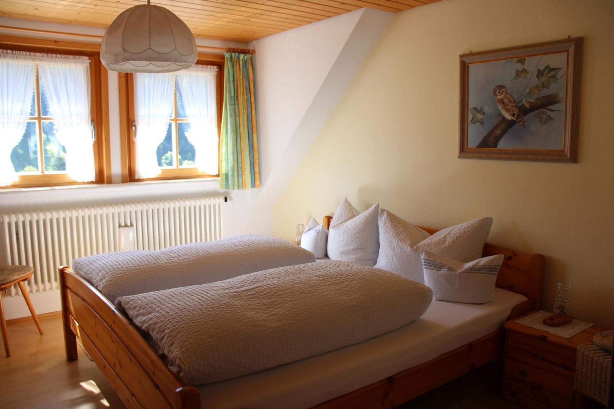 Ferienwohnung Talblick Todtmoos Bagian luar foto