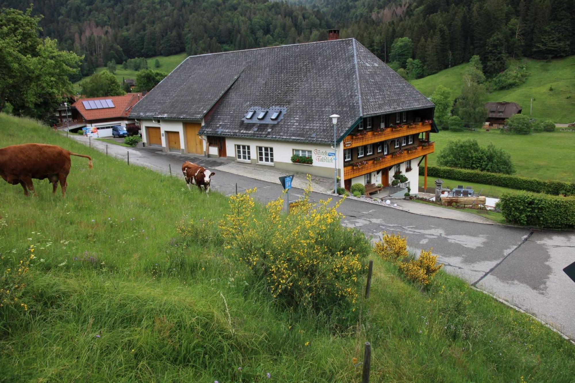 Ferienwohnung Talblick Todtmoos Bagian luar foto