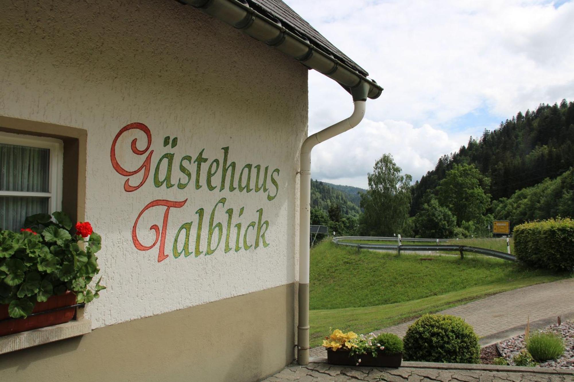 Ferienwohnung Talblick Todtmoos Bagian luar foto