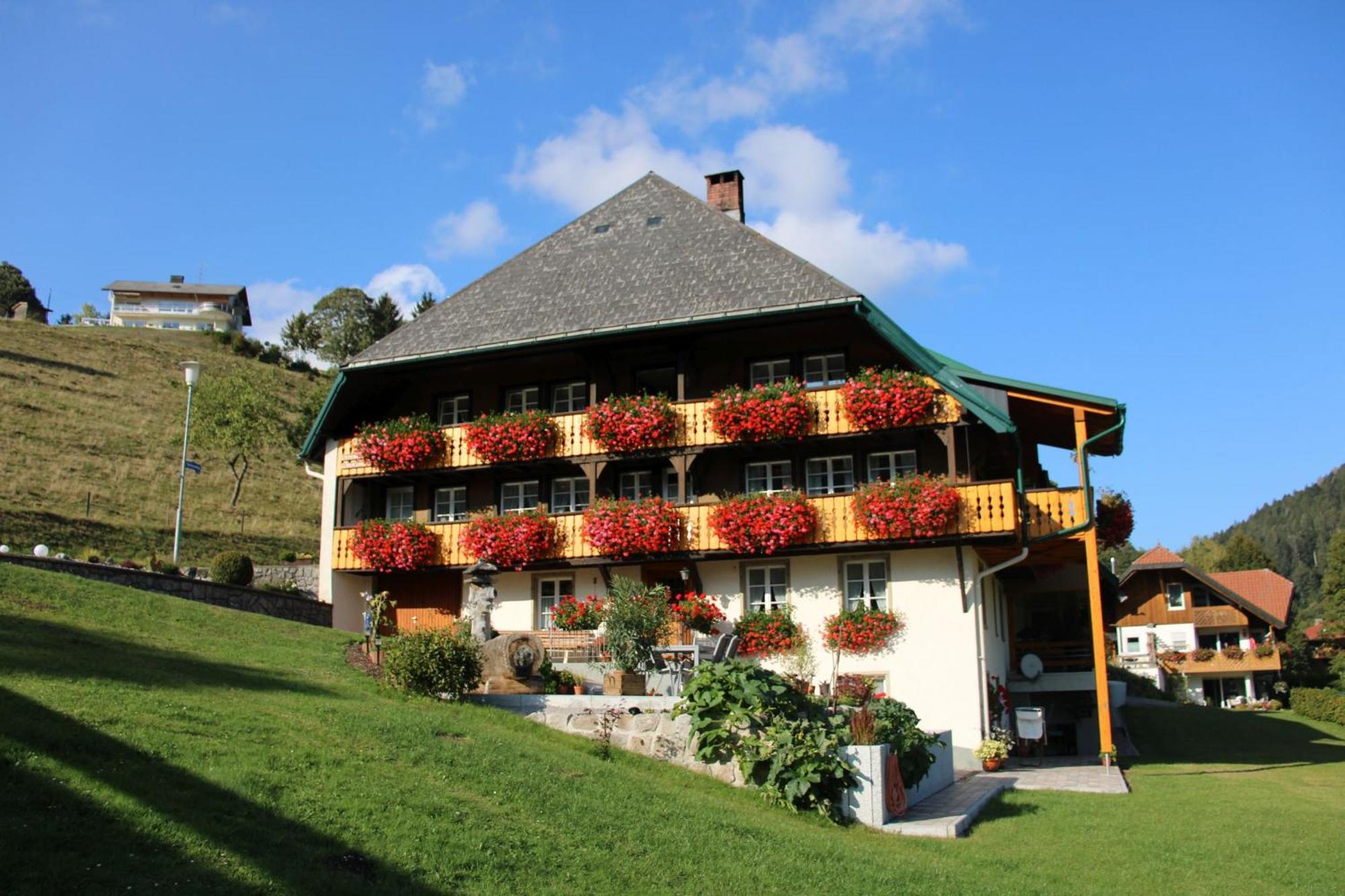 Ferienwohnung Talblick Todtmoos Bagian luar foto
